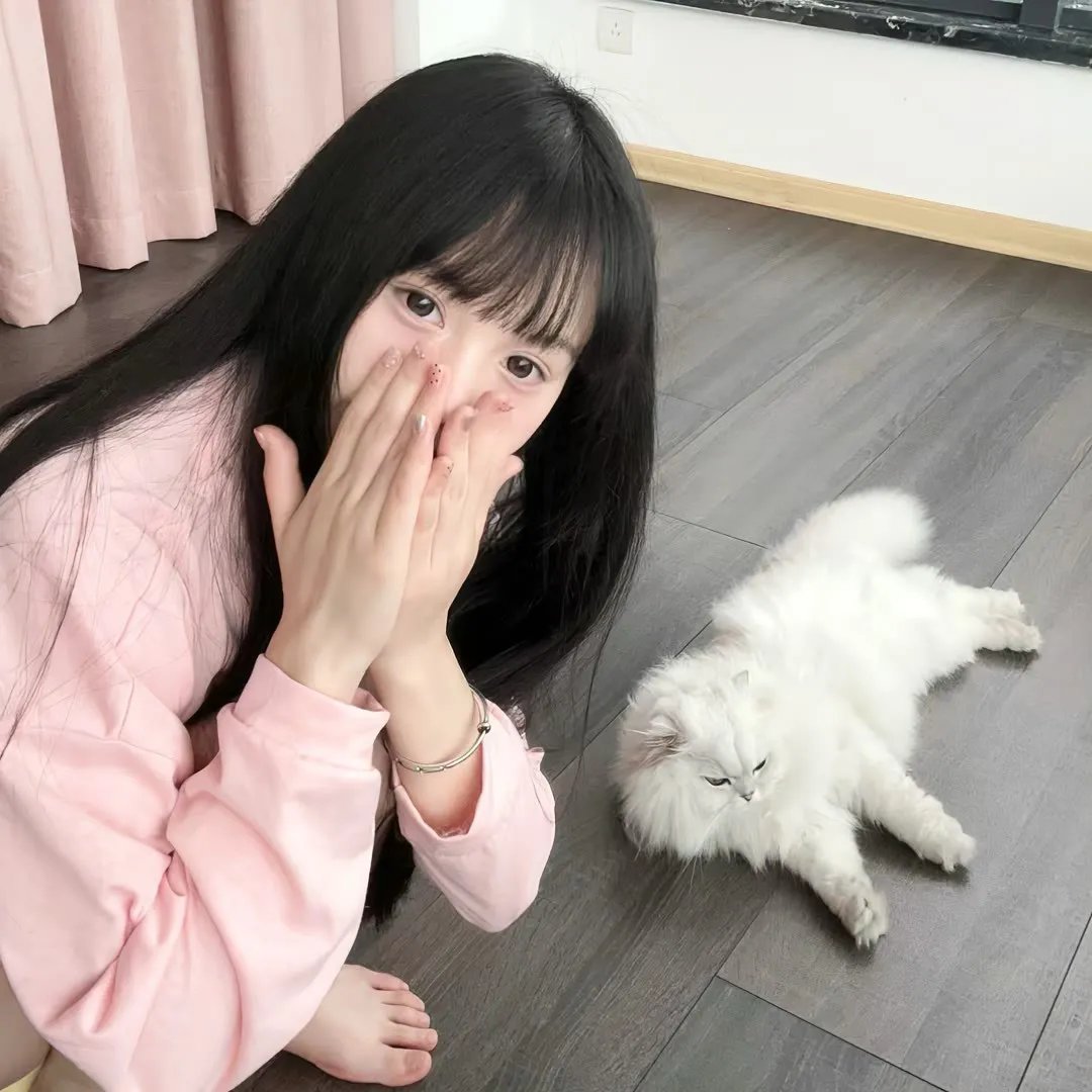 胖胖贵妃也倾城